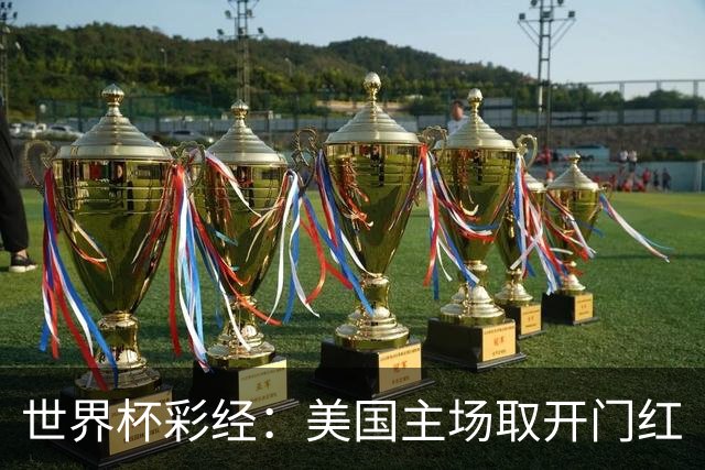 世界杯彩经：美国主场取开门红