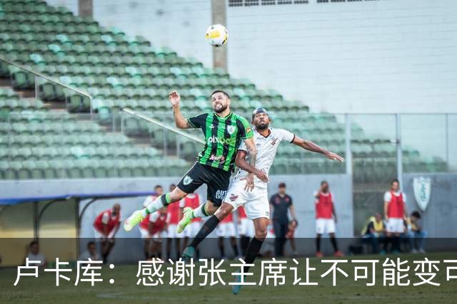 卢卡库：感谢张主席让不可能变可能 会全力帮国米