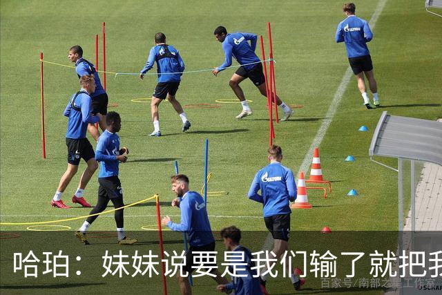哈珀：妹妹说要是我们输了就把我的狗带走 所以我会尽全力打球