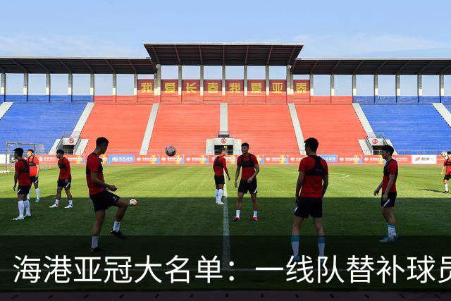 海港亚冠大名单：一线队替补球员+U23球员为主体