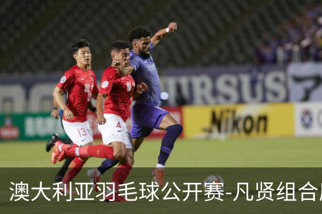 澳大利亚羽毛球公开赛-凡贤组合鏖战进决赛 混双中国揽冠亚